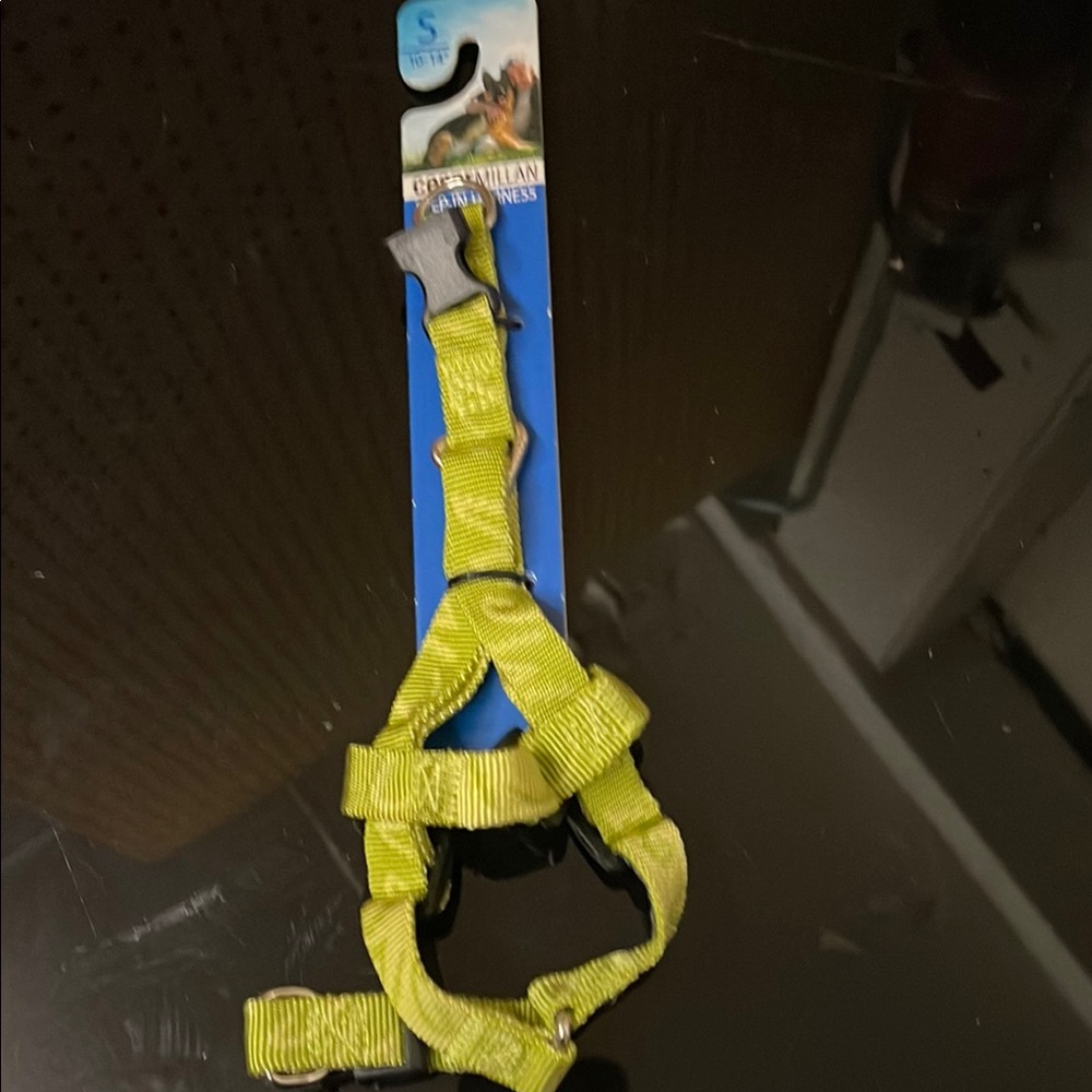 Green small dog Harness
